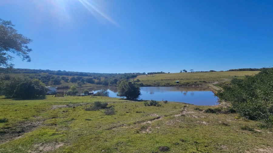 Commercial Property for Sale in Komga Rural Eastern Cape